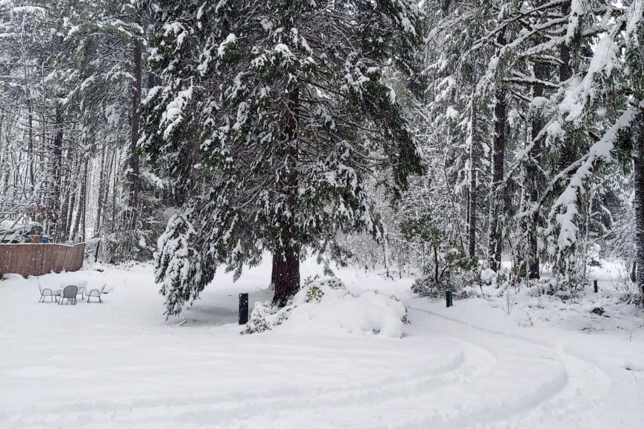 Peaceful McKenzie River Retreat Fish, Hike,&Ski Vida Esterno foto